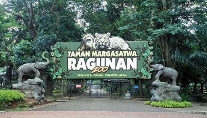 kebun binatang ragunan